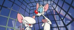 Pinky y Cerebro - Intro